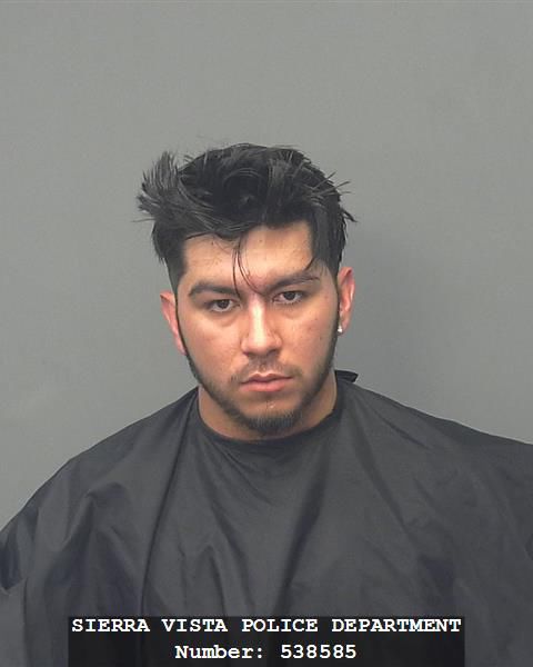 Mug shots 2017